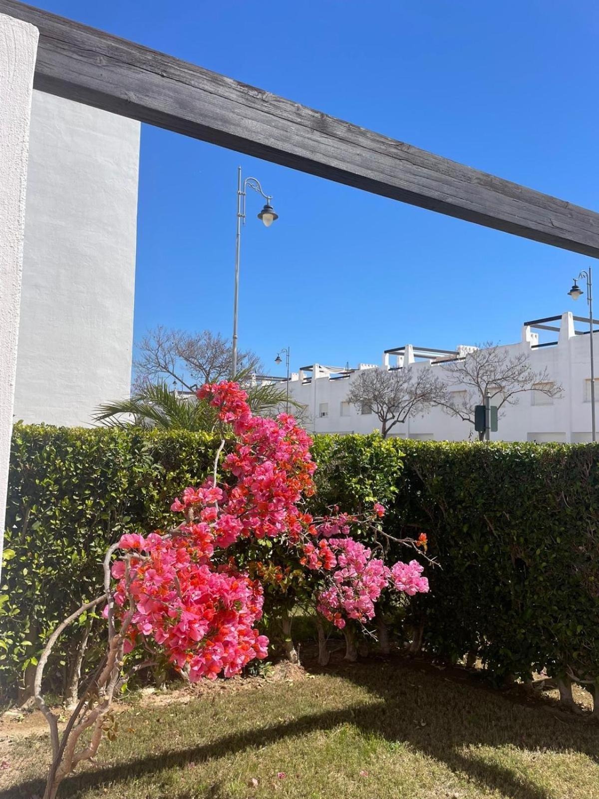 Апартаменти Casa Luisa Jardin 10 Condado De Alhama Алама-де-Мурсія Екстер'єр фото